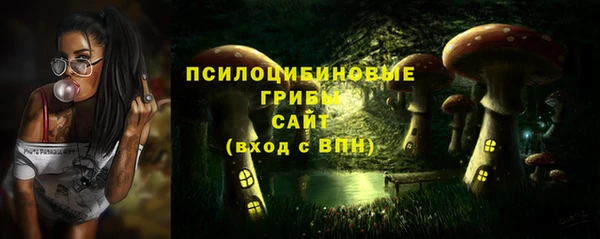 гашик Алзамай