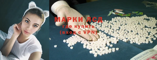 гашик Алзамай