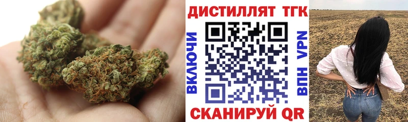 mega маркетплейс  Железногорск  Дистиллят ТГК THC oil 